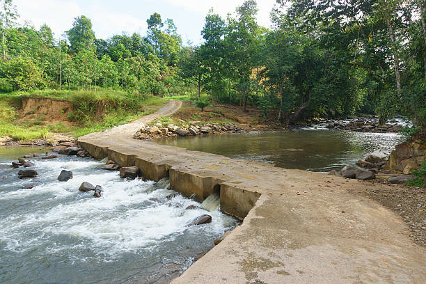istock Typical rural road in Sabah Borneo 505535942