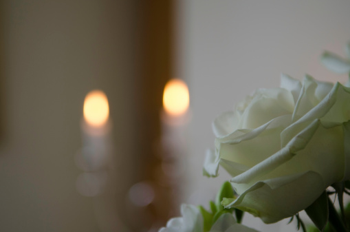 White memorial rose with candelights on the background.