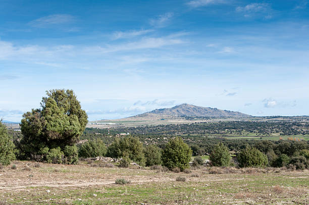 Dehesa in Guadarrama Mountains Holm Oak and Juniper dehesa in Guadarrama Mountains, Madrid, Spain. At the background, San Pedro Peak juniperus oxycedrus stock pictures, royalty-free photos & images