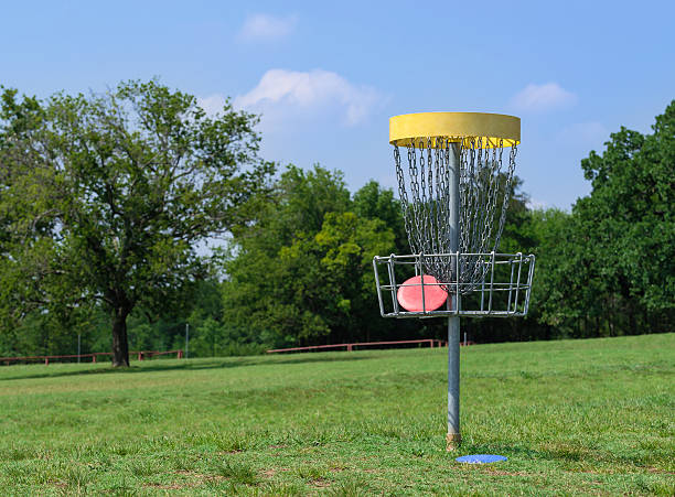 Disc golf basket stock photo