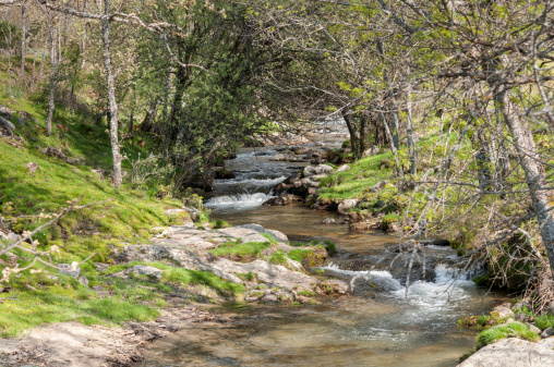 Small stream in Lozoya Valley, Rascafria, Madrid, Spain