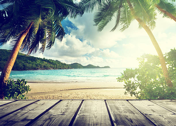 セイシェルのビーチと木製の埠頭 - seychelles sea lagoon tropical climate ストックフォトと画像