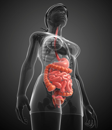 Идеи на тему "Biologia" (91) уроки биологии, биология, углубленное изучение биол