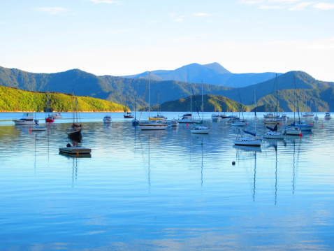 Sailboats in a quiet bay against hilly countryside in the early morning in Marlborough Sound New Zealand
