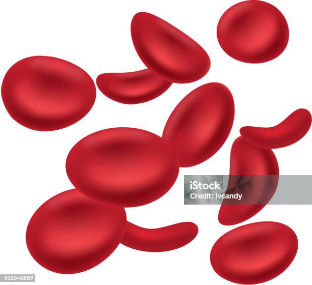 Red Blood Cells Stock Illustration - Download Image Now - Red Blood Cell, Animal  Blood, Biological Cell - iStock
