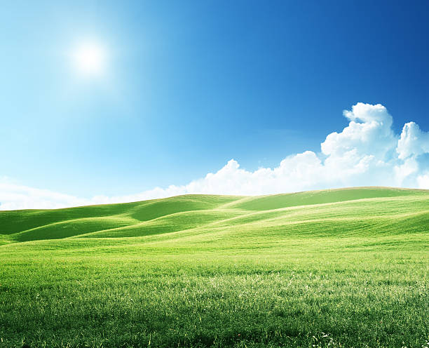 istock hills in sunny day Tuscany, Italy 505547505