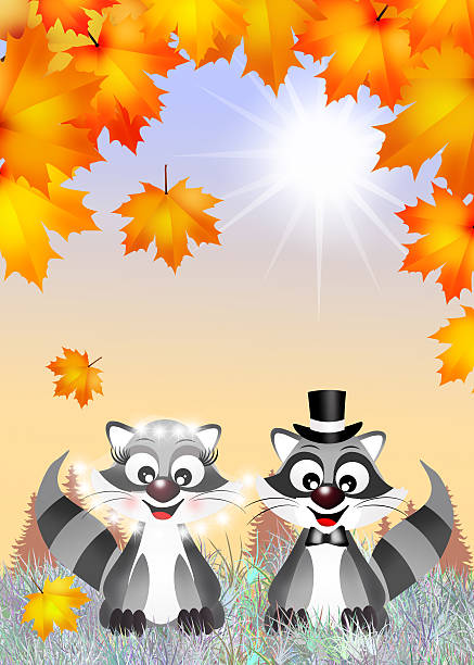 Graphic Raccon 160+ Raccon Illustrations, Royalty-Free Vector Graphics & Clip Art - iStock