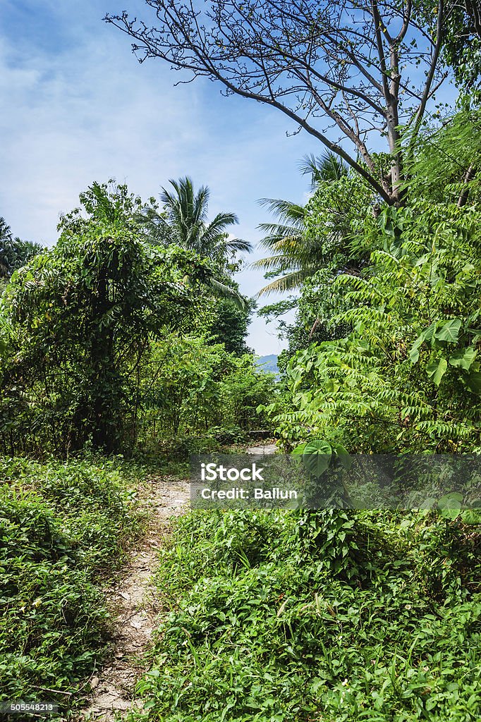 Tropical landscape in Phuket Thailand Blue Stock Photo