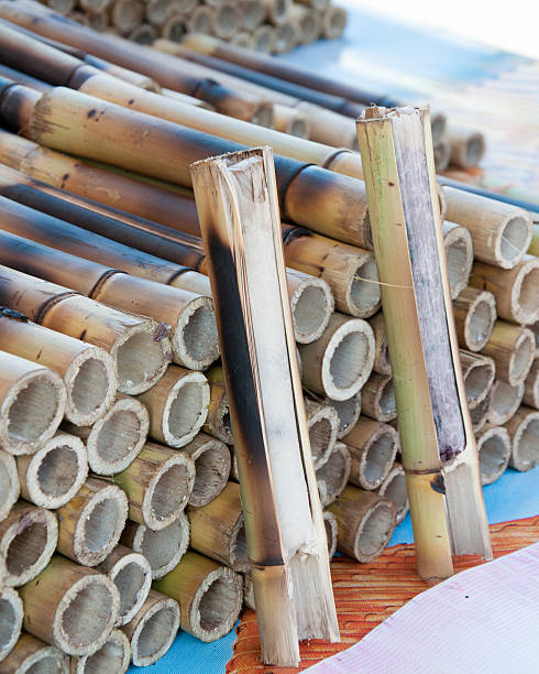 istock Sticky rice baked in bamboo joints, Thai delicacy 505548685