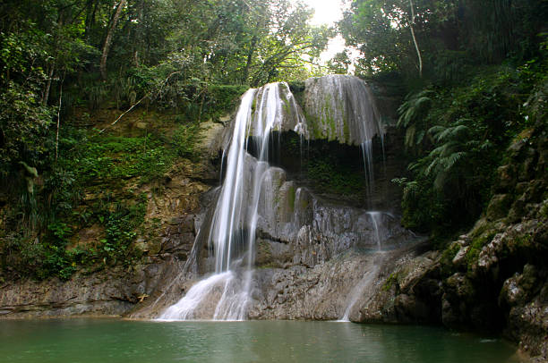 istock Hidden Waterfall, Puerto Rico 505549347