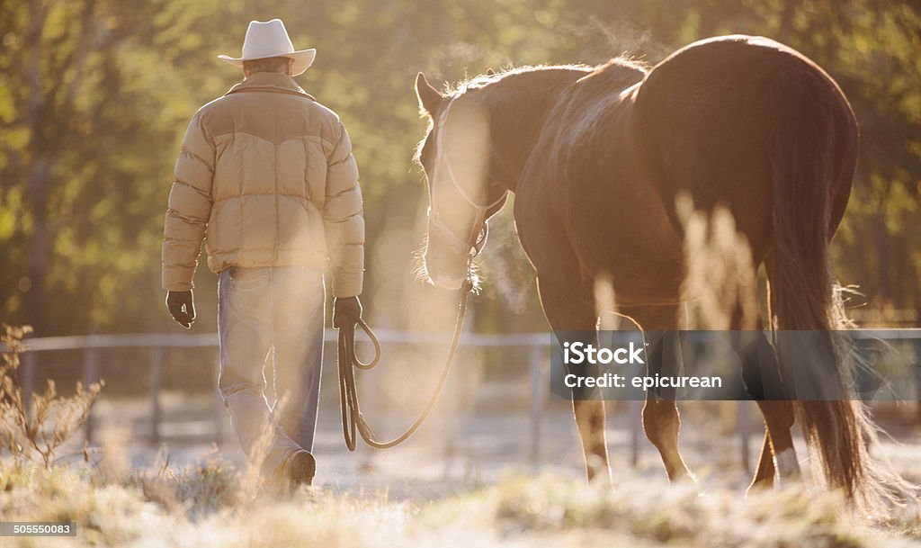 Rearview de hombre a caballo a través del campo con cable metálico - Foto de stock de Caballo - Familia del caballo libre de derechos