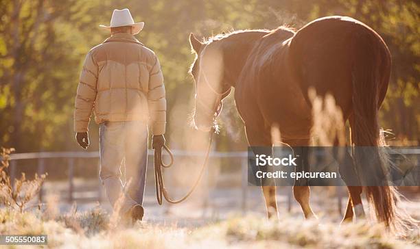 Rearview De Hombre A Caballo A Través Del Campo Con Cable Metálico Foto de stock y más banco de imágenes de Caballo - Familia del caballo