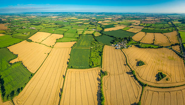istock Aerial view over golden crop fields green pasture patchwork farmland 505550311