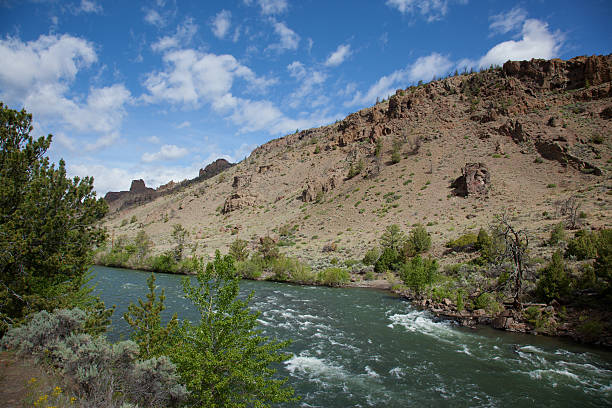 shoshone river - shoshone river zdjęcia i obrazy z banku zdjęć