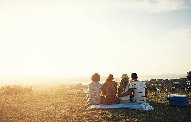 em conjunto é o local preferido para a - picnic summer break relaxation imagens e fotografias de stock