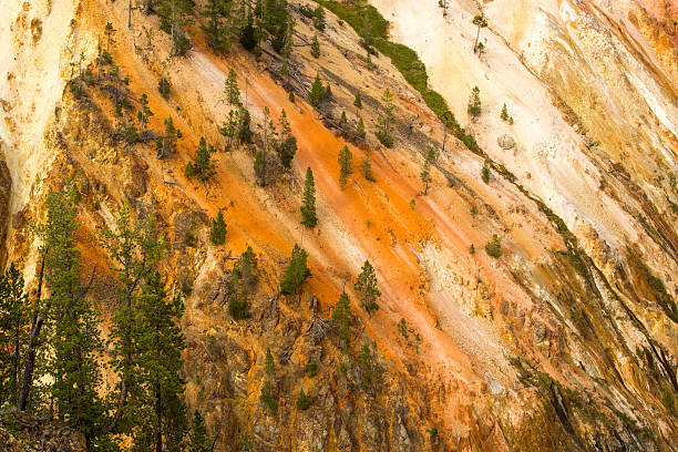 golden et de murs oranges de yellowstone river canyon, wyoming. - eroded water grand canyon of yellowstone river river photos et images de collection