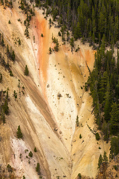 motif coloré, escarpé et gorge de la rivière yellowstone, wyoming. - eroded water grand canyon of yellowstone river river photos et images de collection