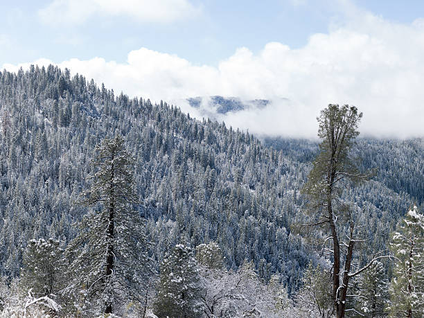 Parque Nacional de Yosemite, California - foto de stock