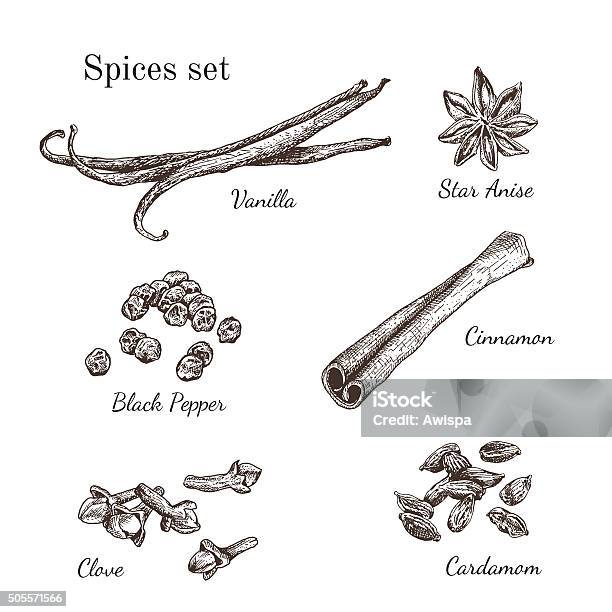 Ink Hand Drawn Spices Set Stock Illustration - Download Image Now - Cinnamon, Vanilla, Cardamom
