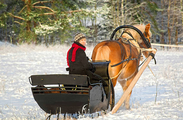 istock Sleigh ride with horse drawn sleigh 505576130
