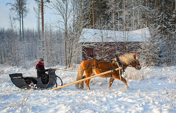 istock Sleigh ride in winter 505576288