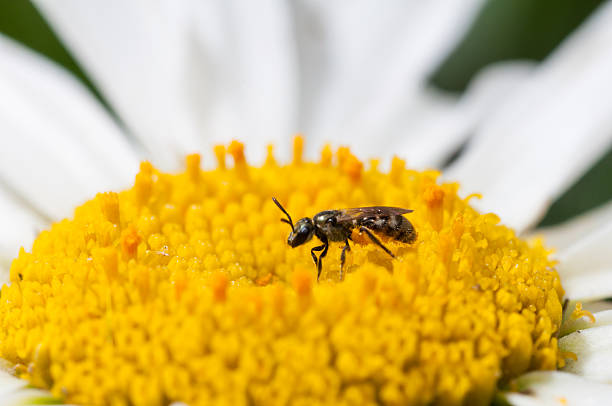 istock Fly me to the Center 505576308