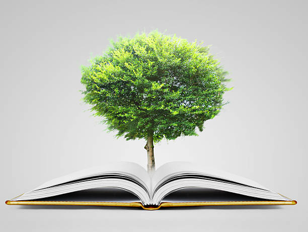 istock book of fantasy stories 505577444