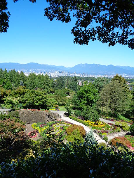 istock City of Vancouver B.C. 505584077