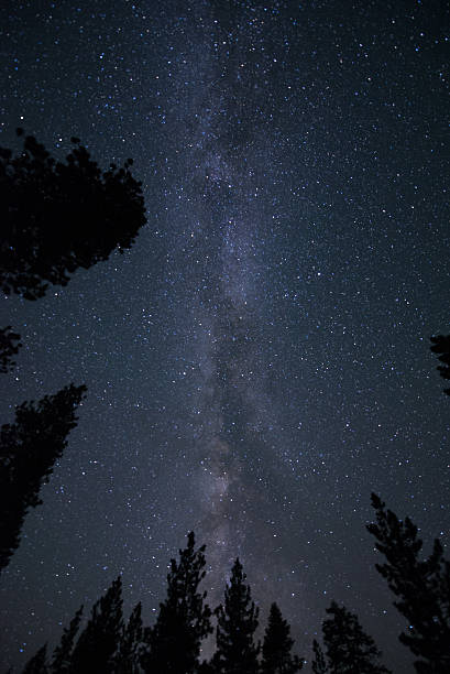 istock Stars in the Milky Way 505584479
