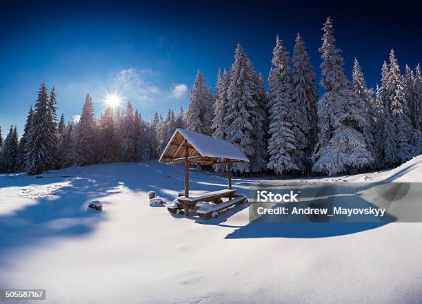 Winter Fairy Tale After Heavy Snowfall Stock Photo - Download Image Now - Alcove, Beauty In Nature, Blizzard