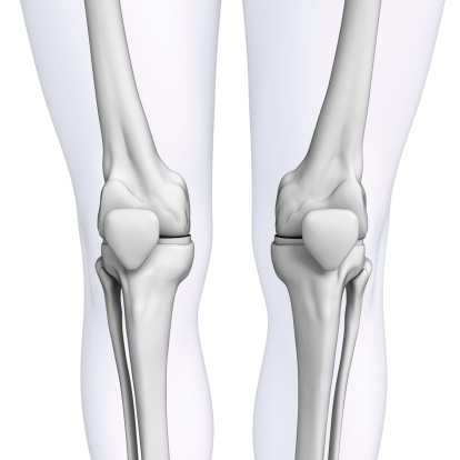 Illustration of human knee artwork