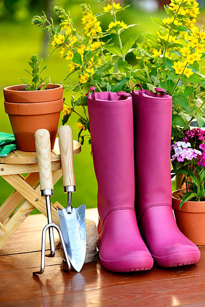 istock Gardening tools on wooden table and green background 505588963