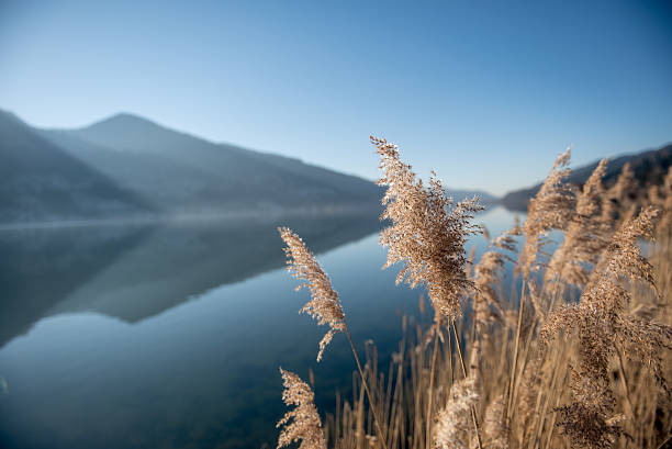 Peaceful winter lake in the mountains