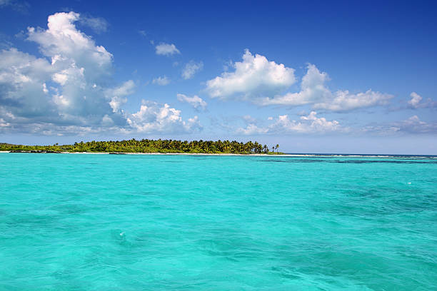 istock Contoy island palm beach Mexico nature reserve 505594572
