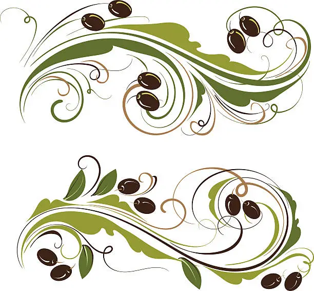 Vector illustration of olive ornament