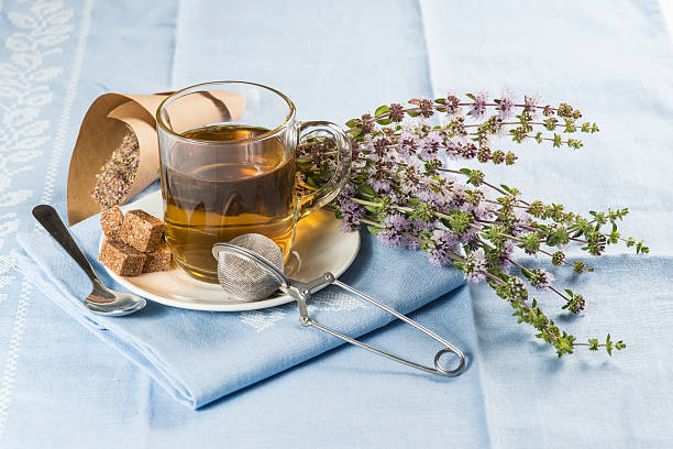 Mentha pulegium infusion Mentha pulegium infusion and items to prepare it mentha pulegium stock pictures, royalty-free photos & images