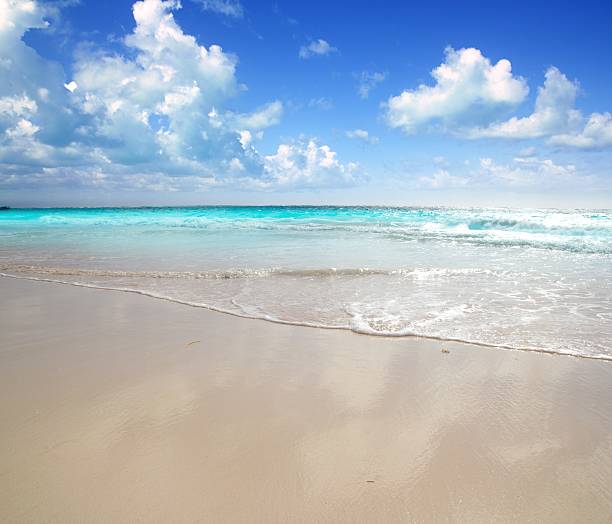 istock caribbean morning light beach wet sand reflection 505597950