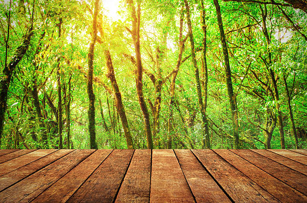 istock nature background with wooden 505599004