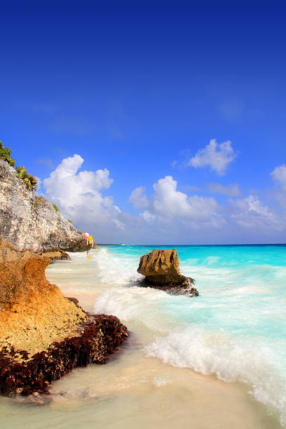 istock Caribbean beach in Tulum Mexico under Mayan ruins 505600748