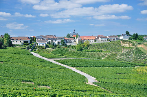 the famous Wine Village of Cramant in Champagne region near Epernay,France
