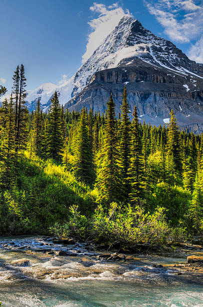 istock Hiking Berg Lake Trail 505601703