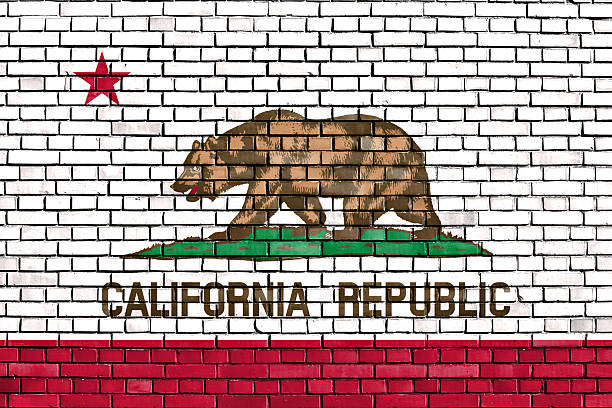 flag of California painted on brick wall