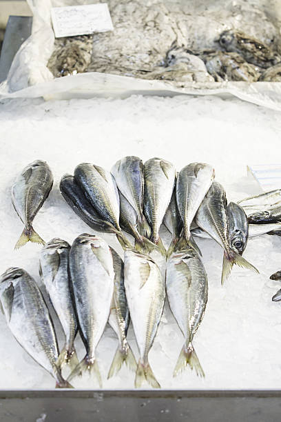 istock Variety of fish market 505603519