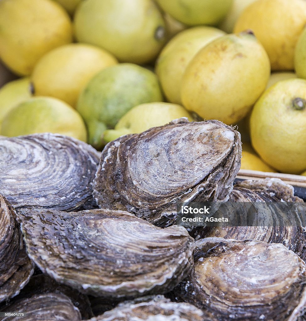 Ostriche, Cancale, Normandia, Francia - Foto de stock de Cancale libre de derechos