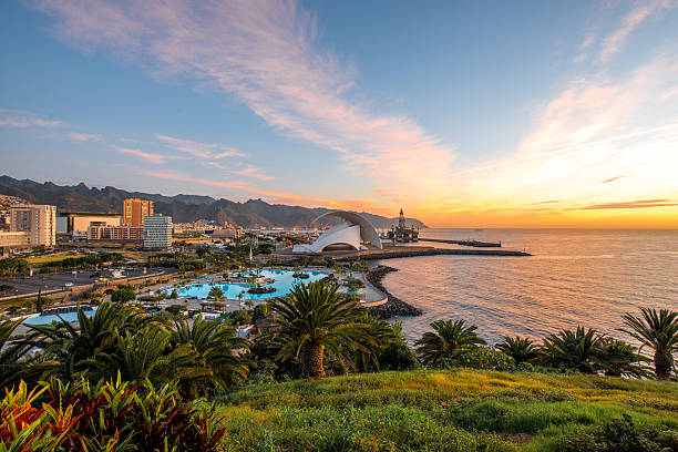 istock Santa Cruz cityscape view 505605324