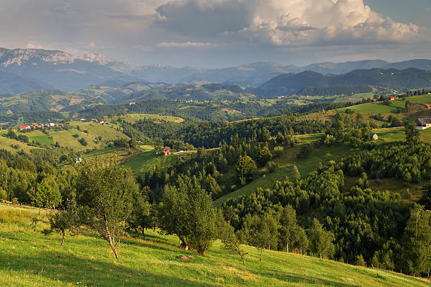 paysage d'été - romanian hay photos et images de collection