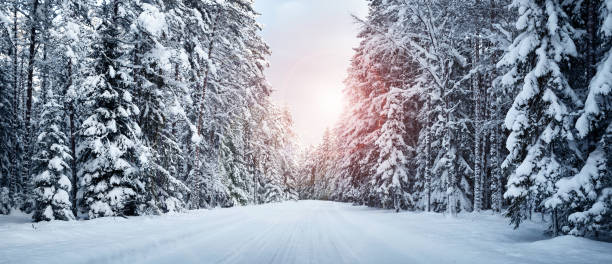 istock winter road in the morning 505618446