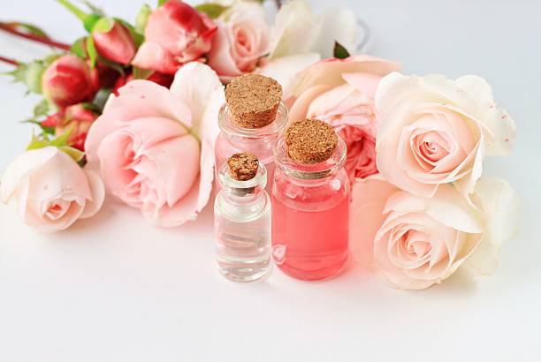 istock Rose attar cosmetic products 505619176