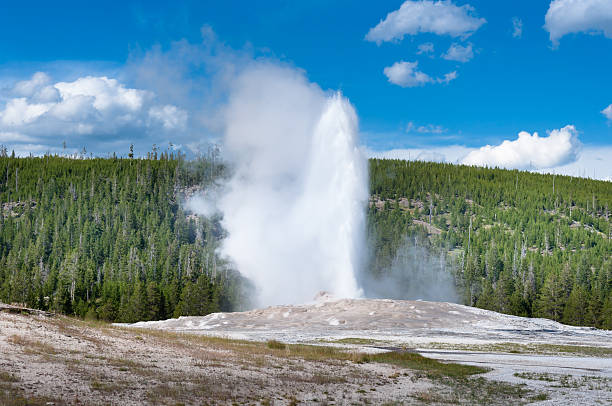 istock Old Faithful geyser eruption 505619294