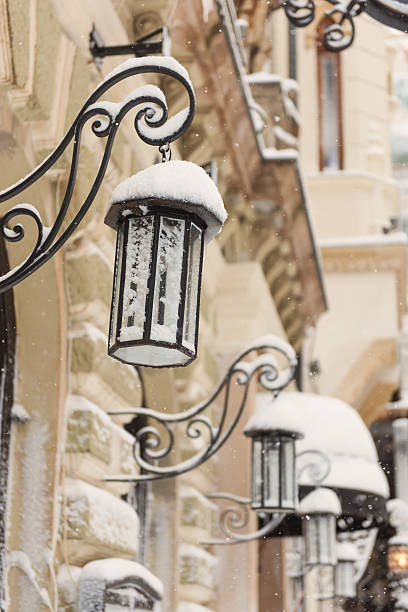 istock Doors covered with snow in a winter day. 505619722